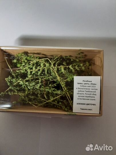 Цветы таволги, листья