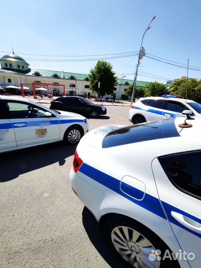 Суетолог на свадьбу