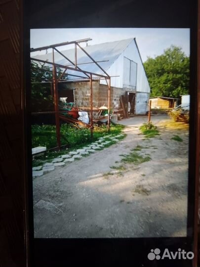 Животноводческая ферма продаю