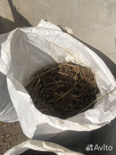 Конский навоз