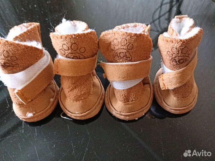 Обувь для маленькой собачки