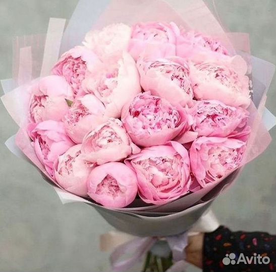 Пионы Букет