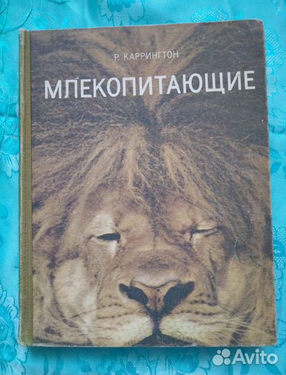 Млекопитающие (1974)