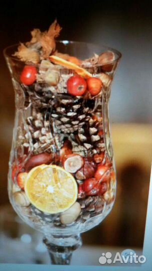 Шишка для декора сосны пицундской