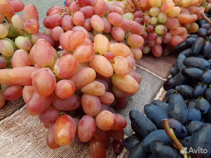 Саженцы Персика, Винограда, Яблонь, Груш