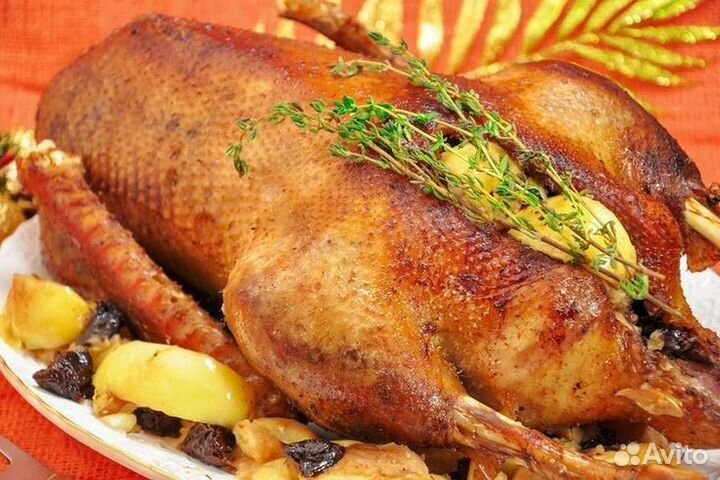 Гусь на племя, мясо