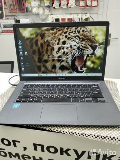 Ноутбук Digma EVE 14 P416