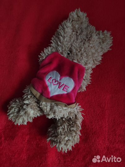 Одежда для собак мелких пород