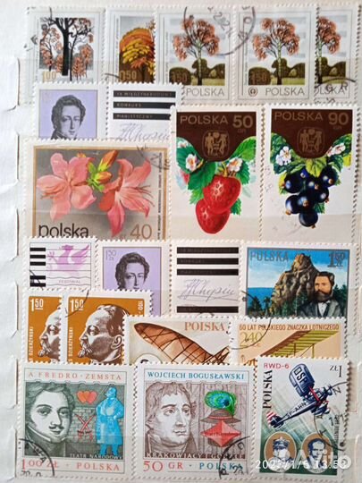 Почтовые марки и блоки Польши