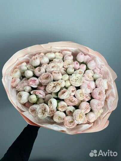 Пион розы как на фото/доставка/опт