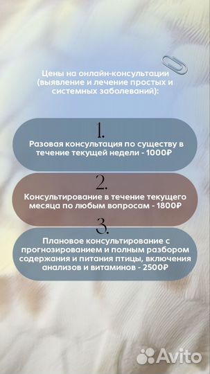 Врач-орнитолог, онлайн-консультирование
