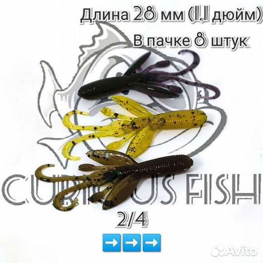 Curious Fish Dum Dum Hog - 1,1 дюйм (28мм с усами)