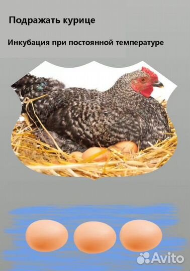 Инкубатор на 20 яиц