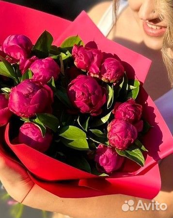 Пион краснодарский