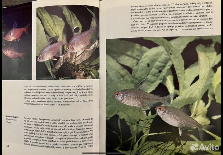 Книги сборнки