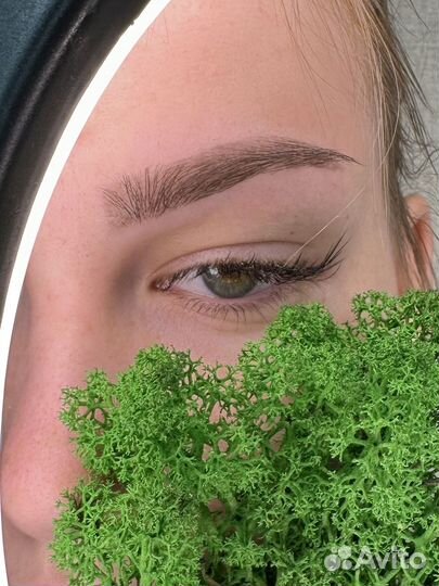 Мастер бровист