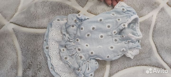 Одежда для маленьких собак xs