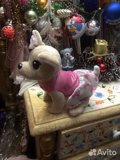 Чи чи лав новая