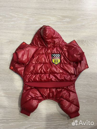 Комбинезон для маленькой собаки девочки