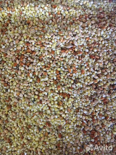 Комбикорм и корм для с/х животных