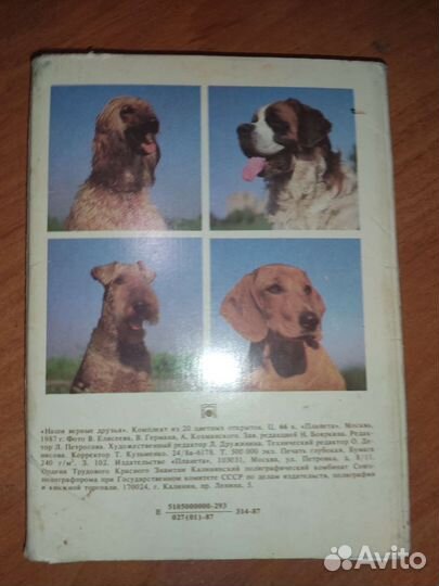 Набор открыток Наши верные друзья 1987 20шт вып 1