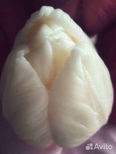 Свечи цветы