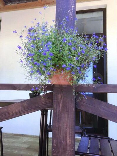 Комната 20 м² в 7-к., 1/1 эт.