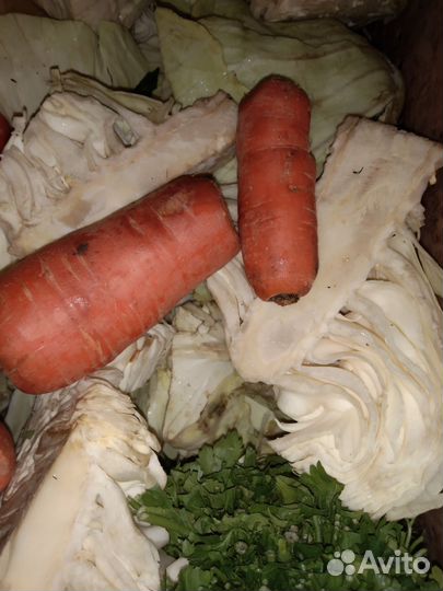 Корма для животных