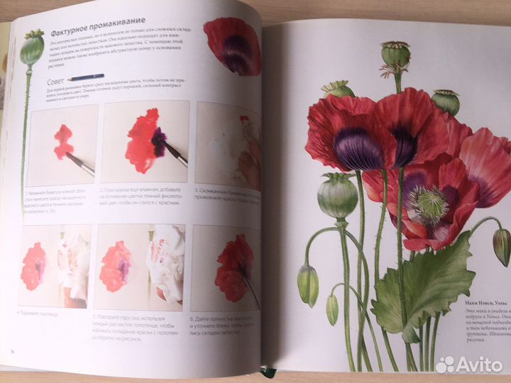 Ботанические портреты Руководство Билли Шоуэлла