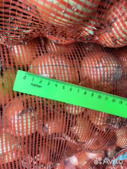 Лук, морковь (оптом)