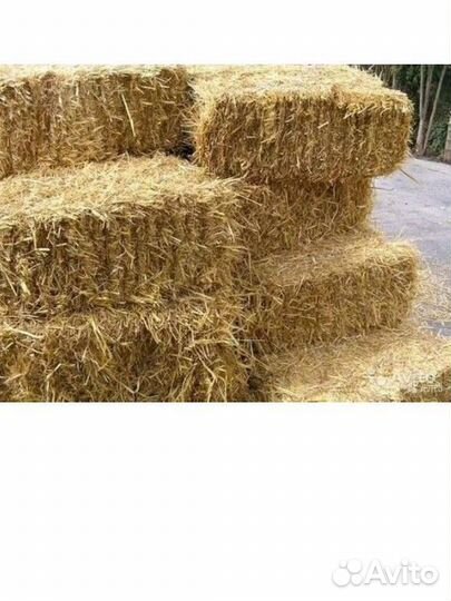 Продам солому в тюках