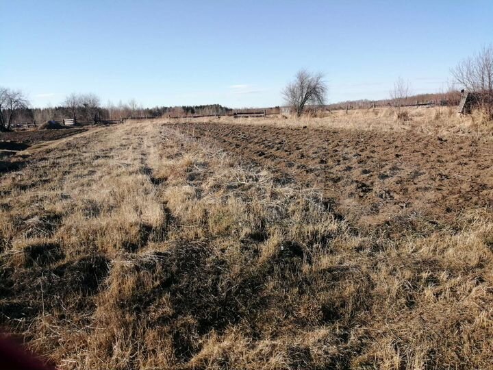 Дом 20 м² на участке 17 сот.