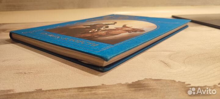 Зачарованный мир