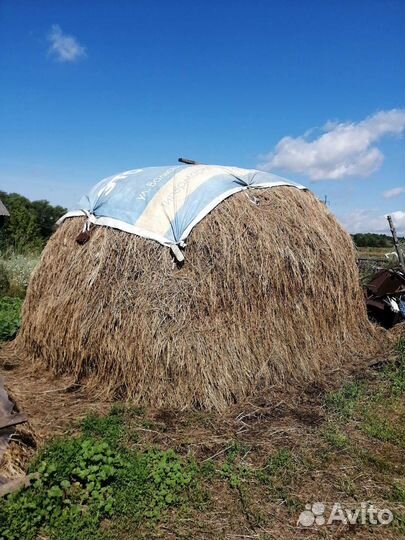 Продам сено лесное