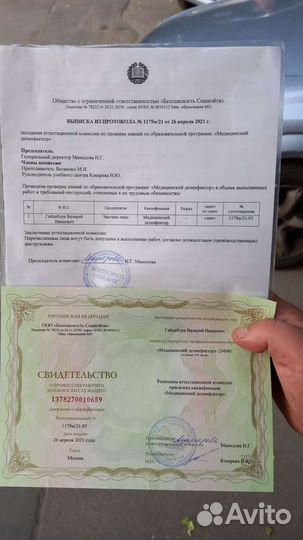 Дезинсекция
