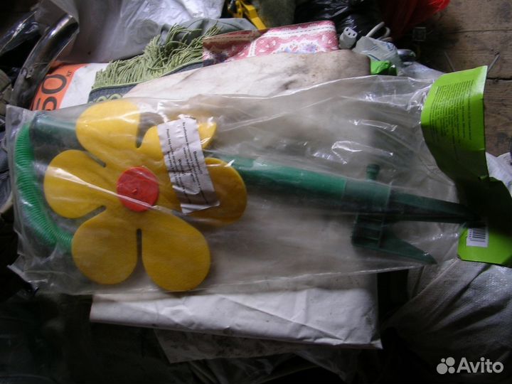 Бешеный цветок