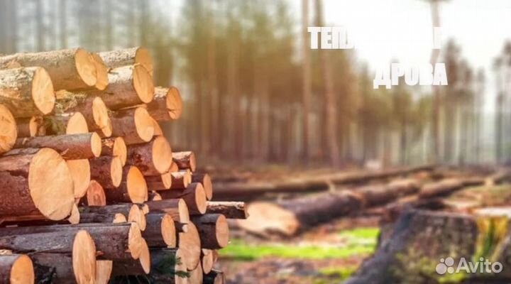 Дрова с доставкой