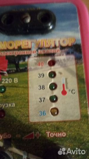 Терморегулятор для инкубатора