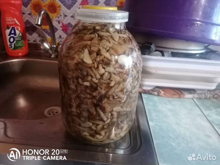 Опята соленые