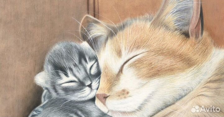 Котейковые хвостики