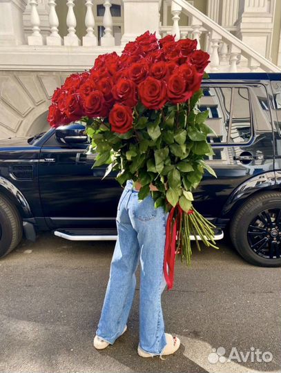 Розы метровые