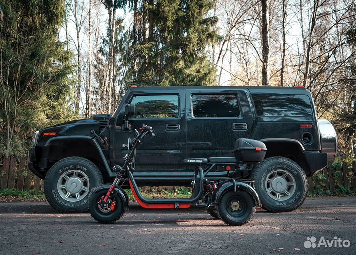 Электросамокат WS Pro Trike 3000W