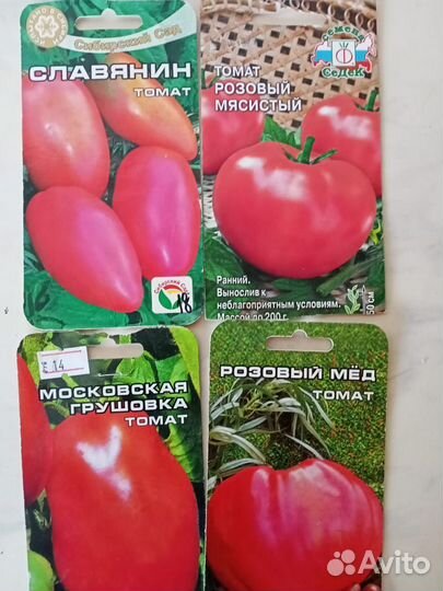 Рассада помидор