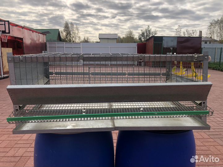 Клетка для перепелов