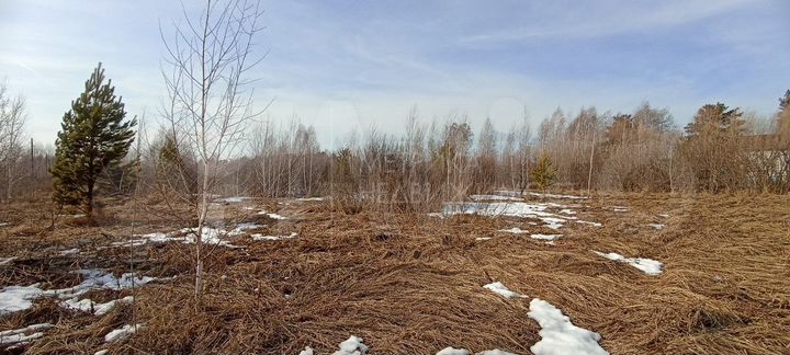 Участок 8 сот. (СНТ, ДНП)