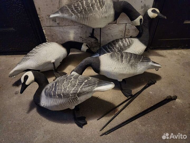 Чучело казарок (охота на гуся)