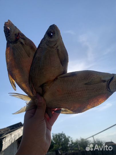 Соленая рыба Астраханская