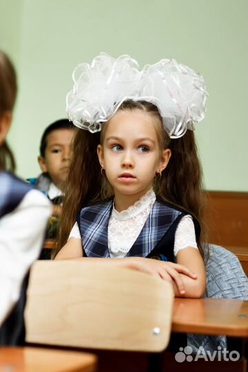 Фотограф на линейку 1 сентября