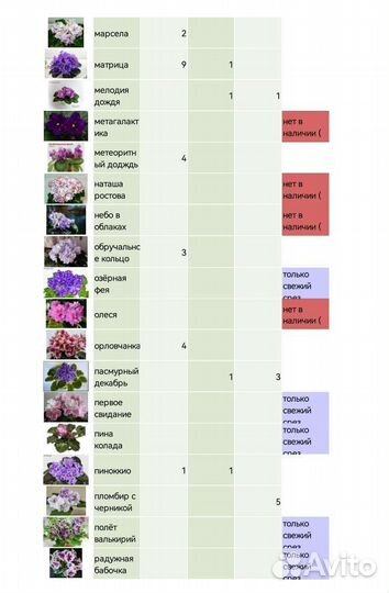 Детки сортовых фиалок