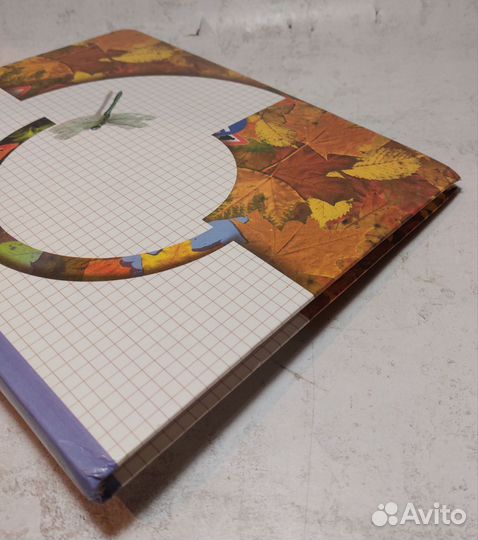 Н.Ф. Виноградова. Окружающий мир 1 кл